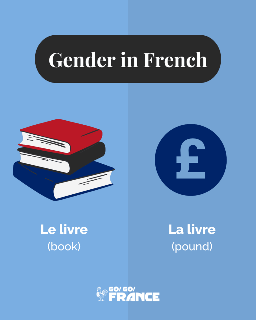 French gender rules