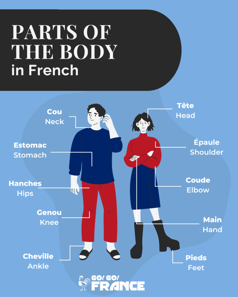 medical terms in french