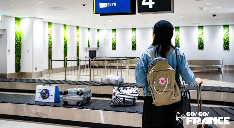 student visa france benefits