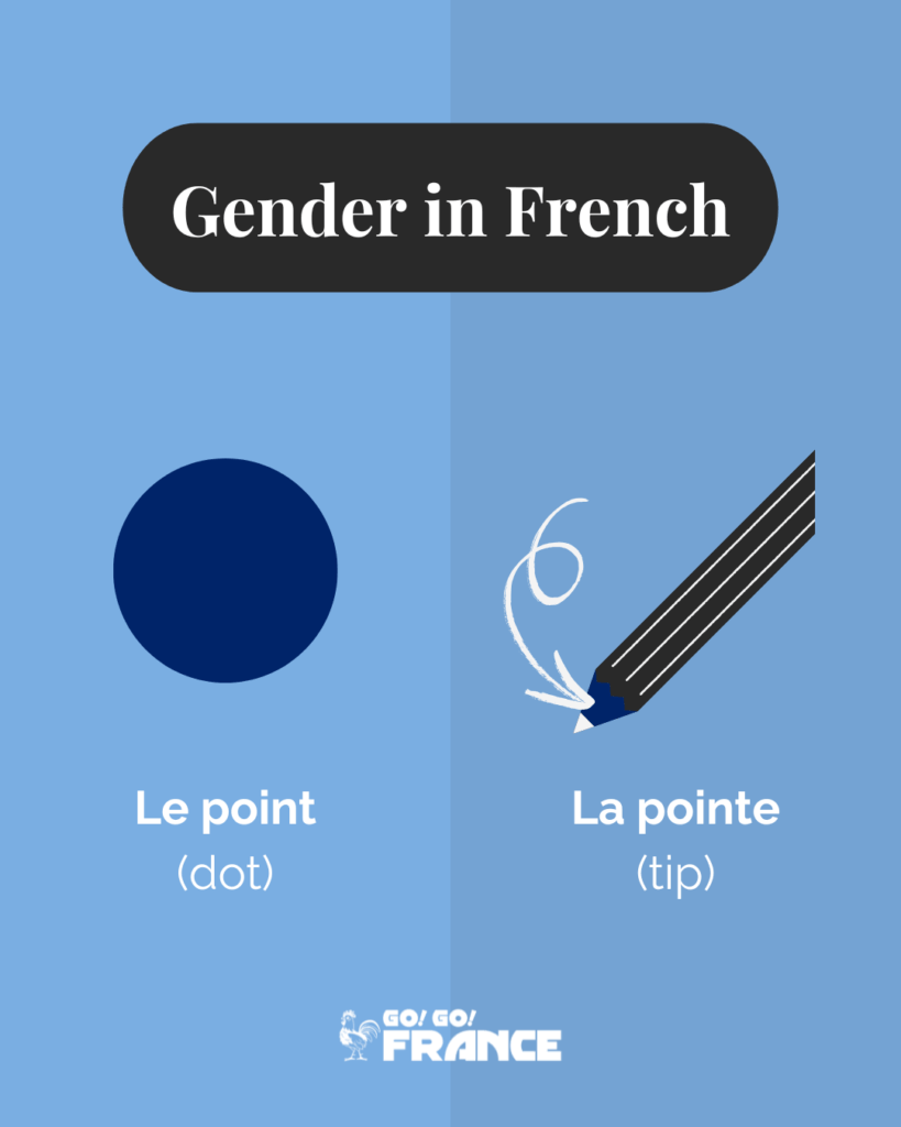 french gender rules