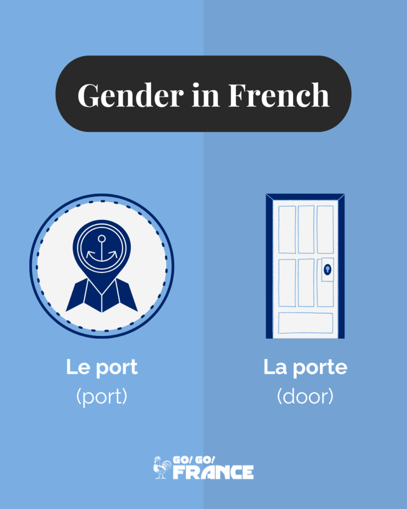french gender rules