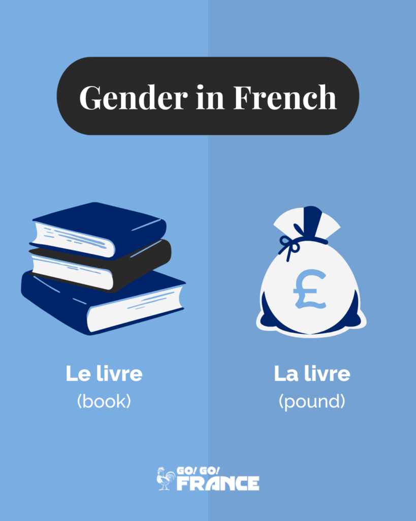french gender rules