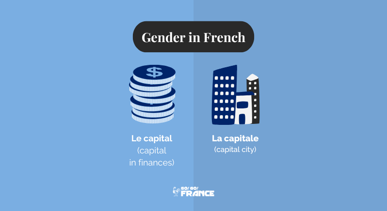 French gender rules