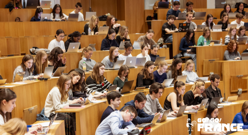 University Diploma in French Studies